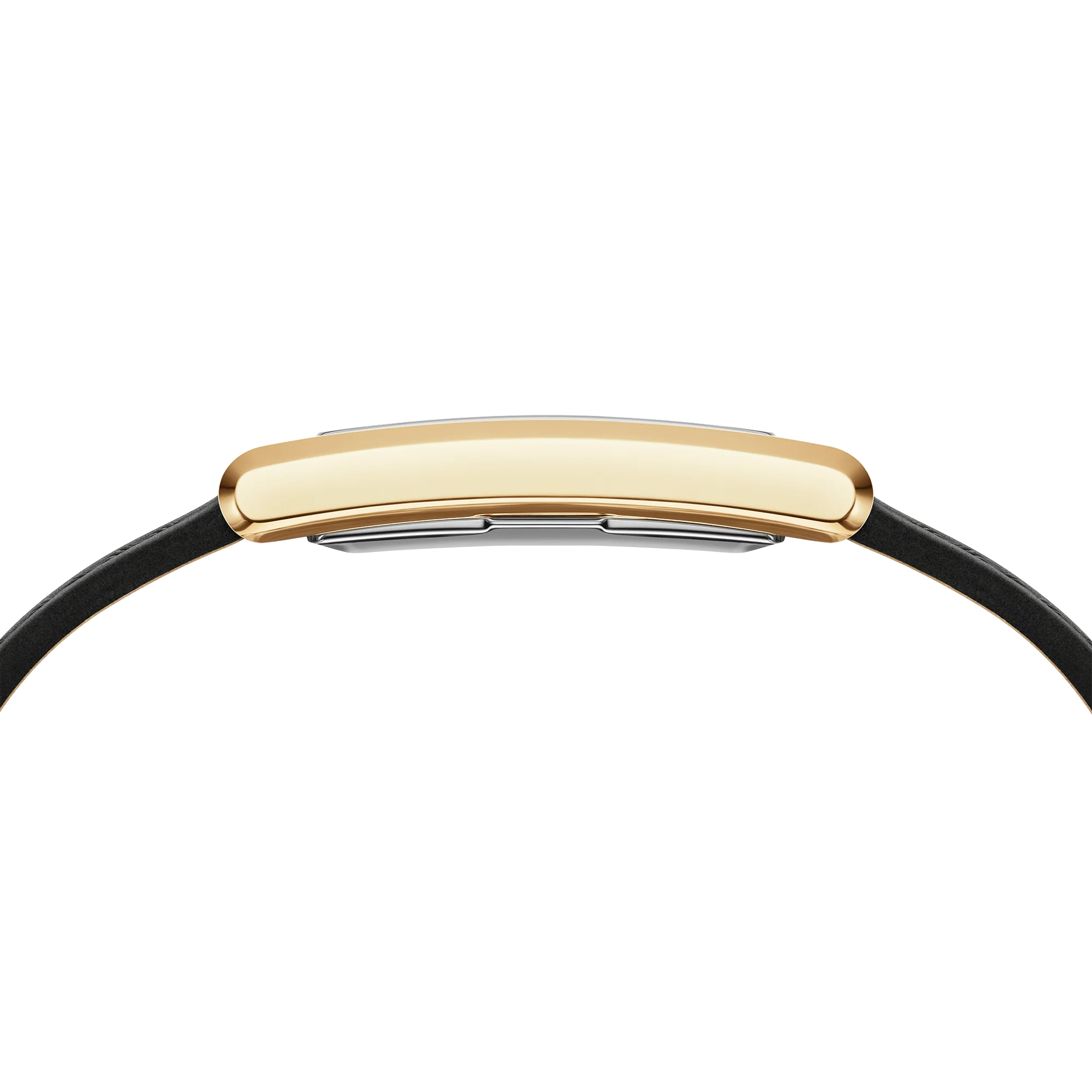 Bound Black Crocodile Gold - Image 3