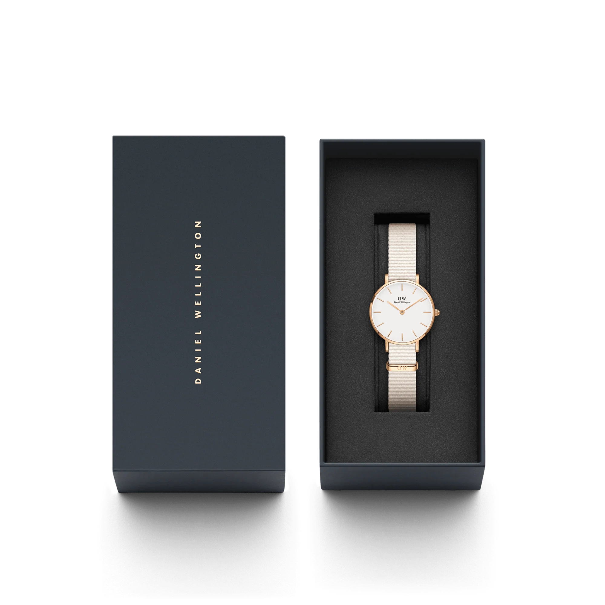 Federica Scagnetti x DW: Petite Chalk Nato Rose Gold - Image 6